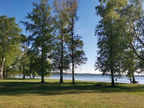 der schöne Zugang zum See