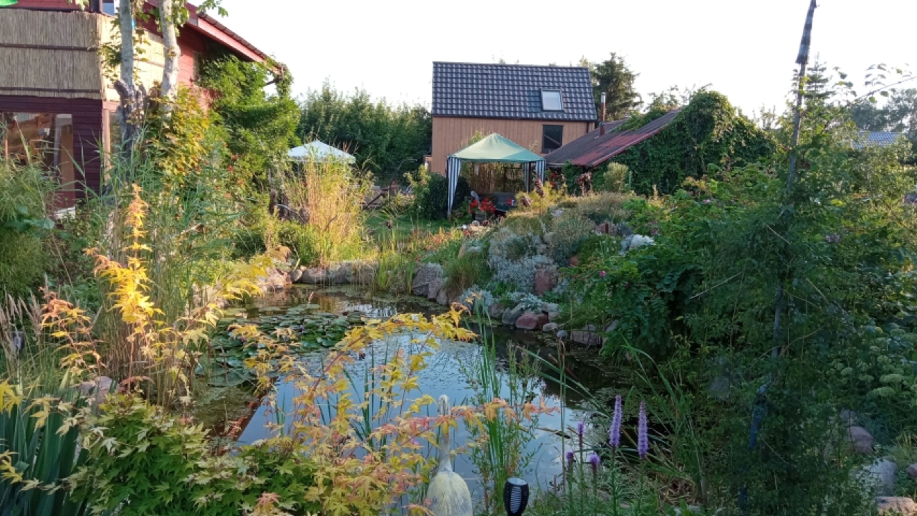 Schwimmteich