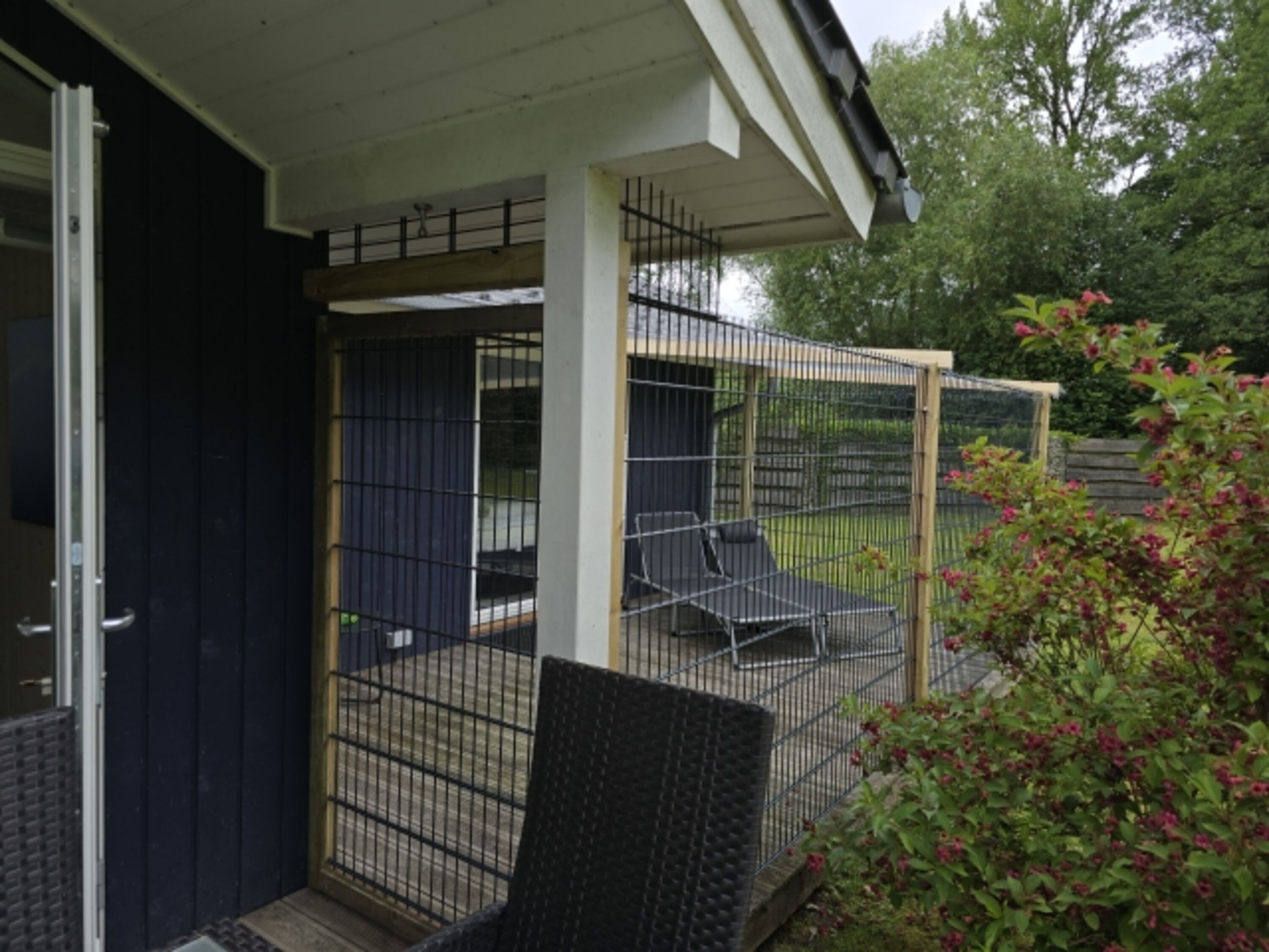 Katzenfreigehege 