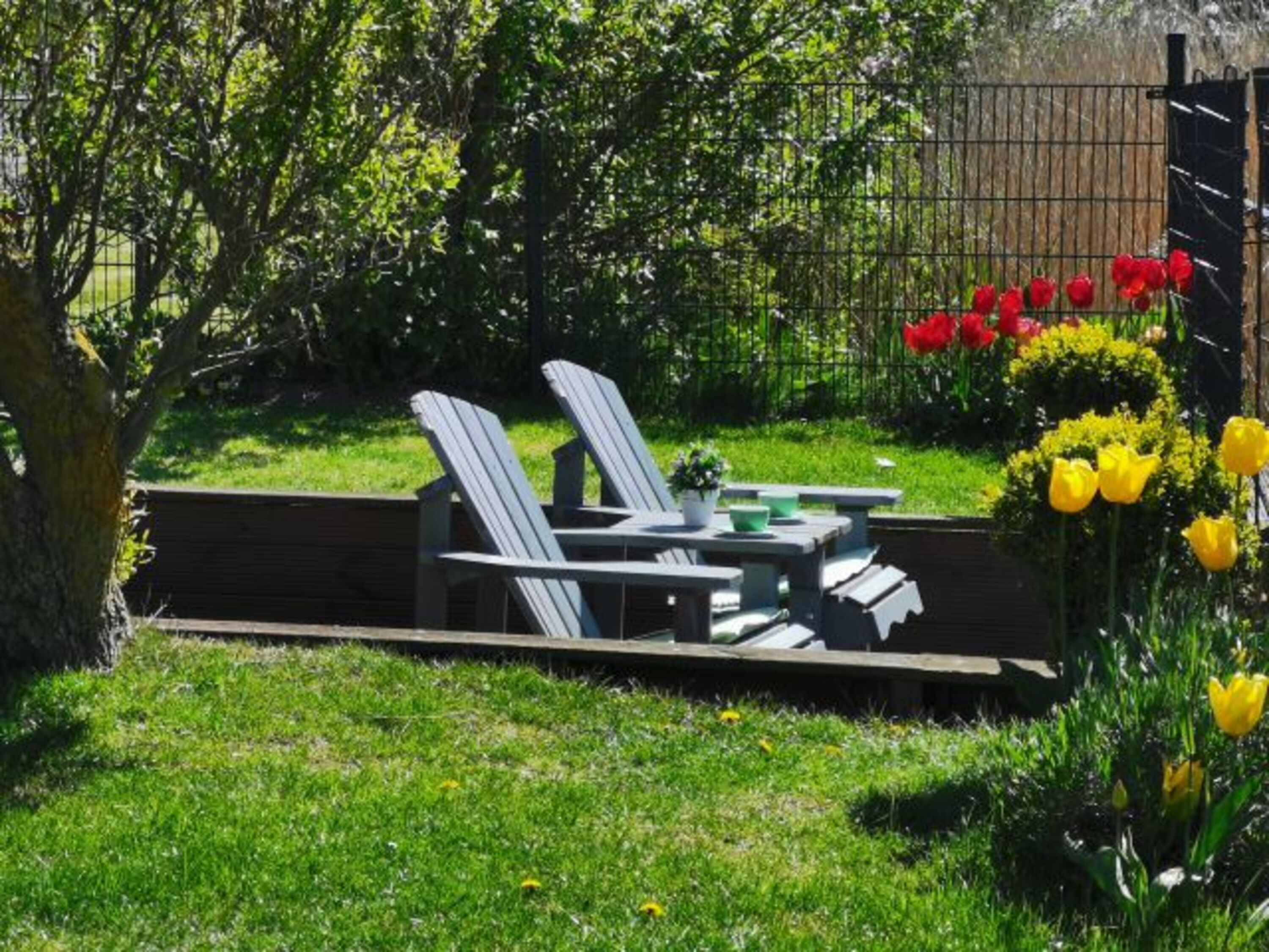 Bild 5