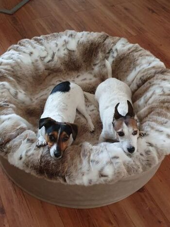 Ab sofort neu bei uns Buddelnester der Firma Maul