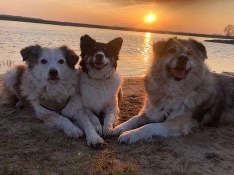 Sonnenuntergang an der Elbe.