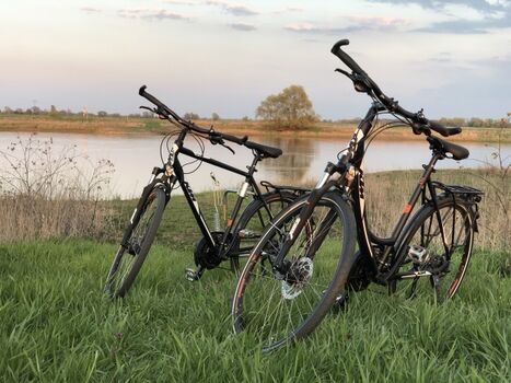 Am Elberadweg- Fahrräder zum ausleihen vorhanden!