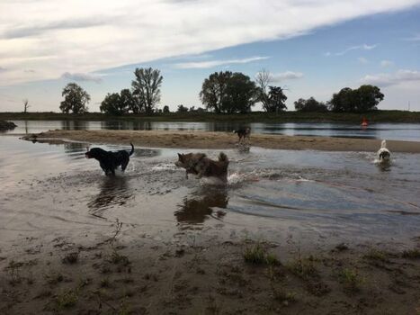 Seichtes Wasser und keine Menschenseele in Sicht.  