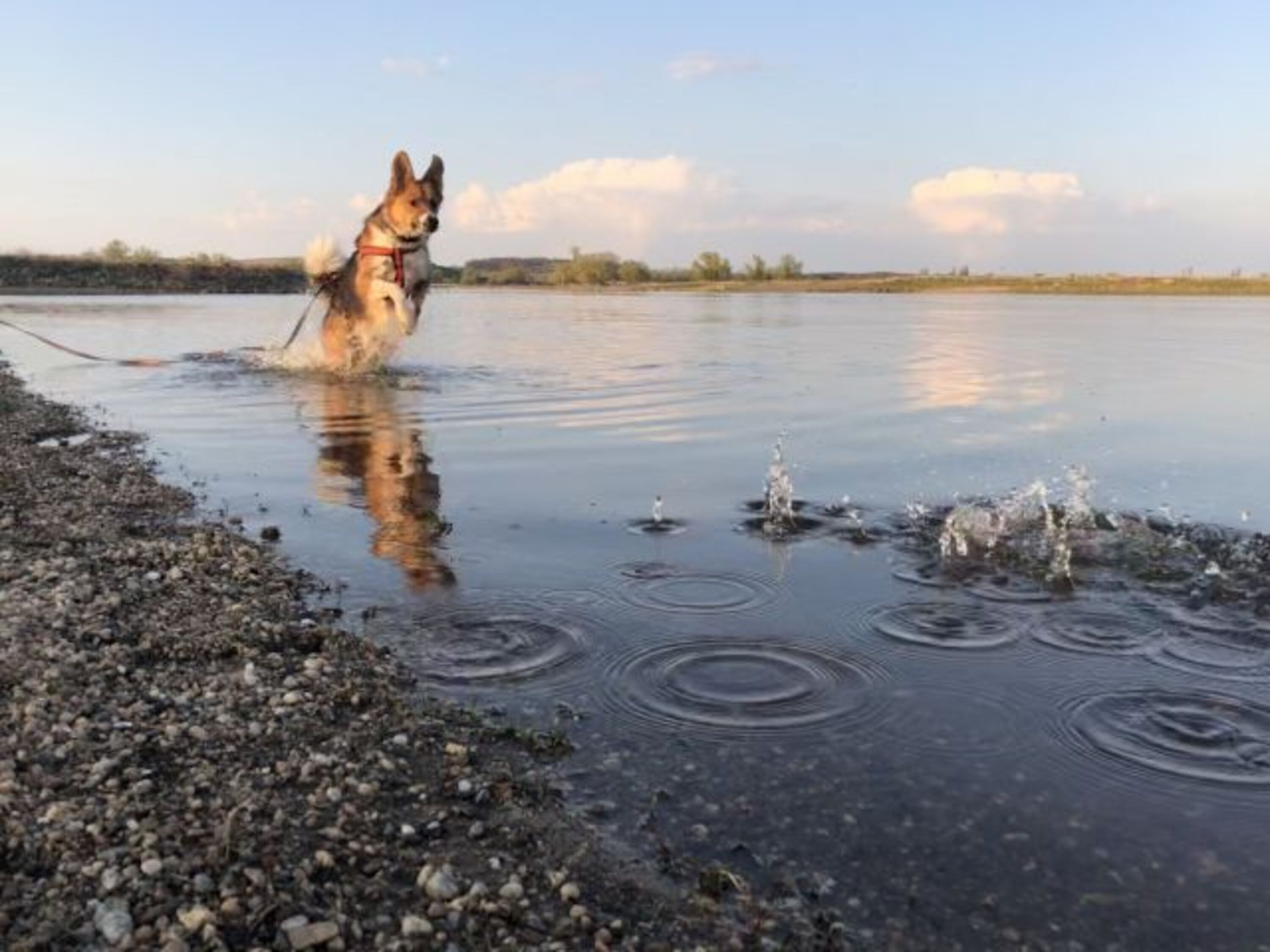 Unsere Elbe