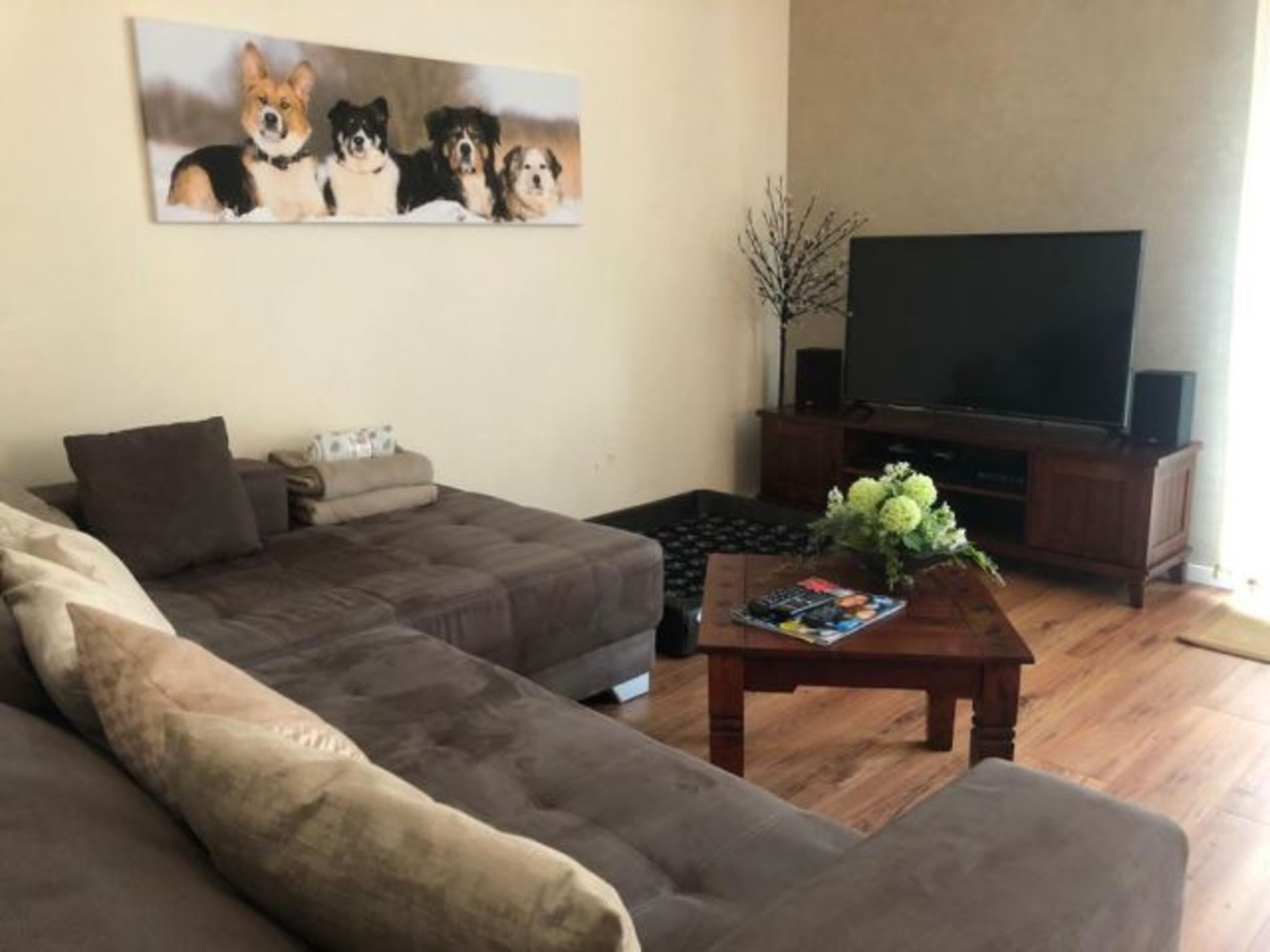 Fernsehecke mit gemütlichem Hundebettchen