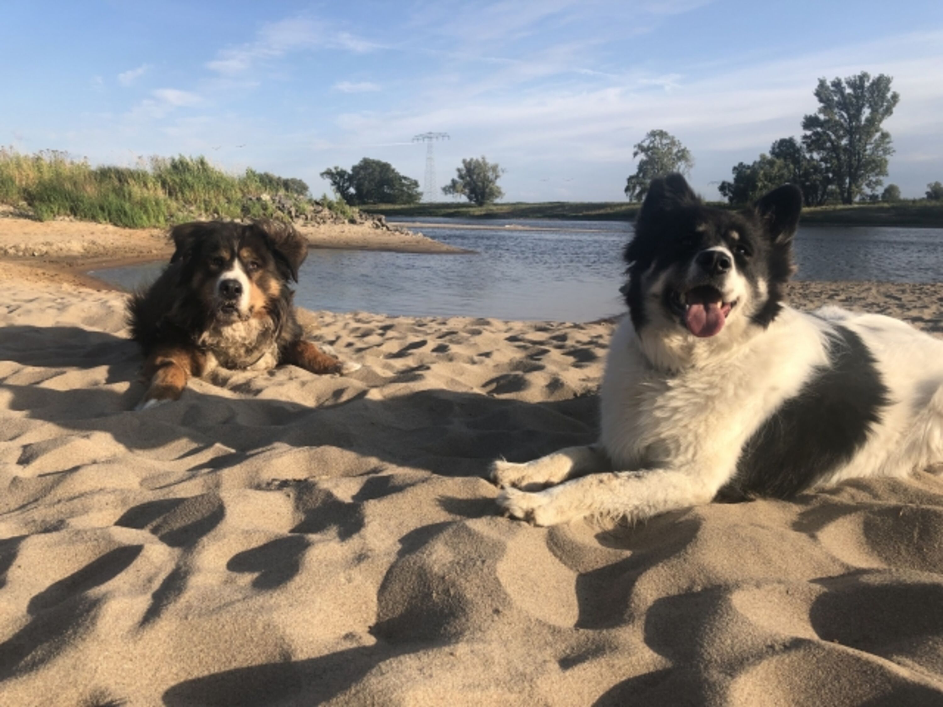 Elbestrand