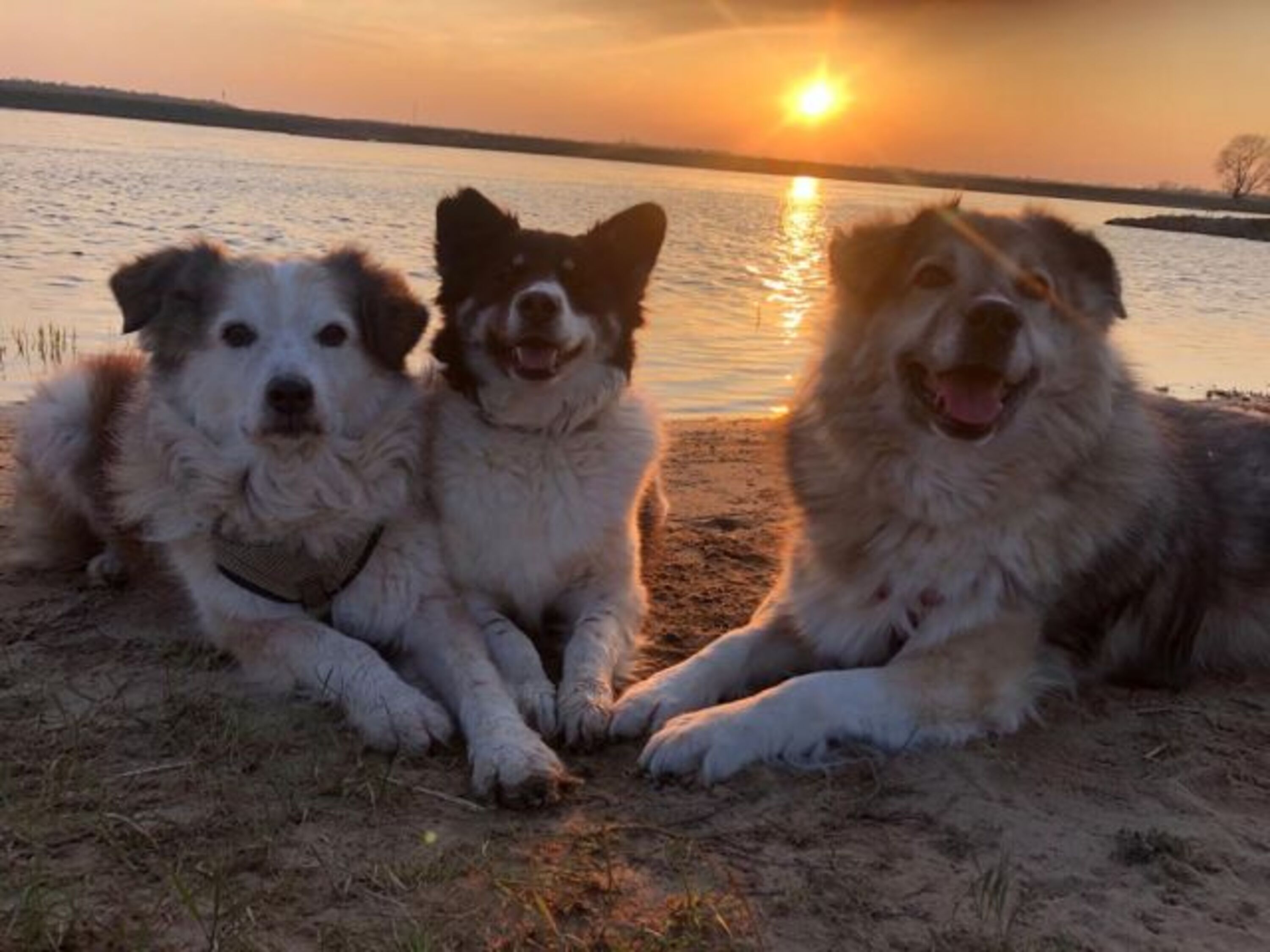 Sonnenuntergang an der Elbe.