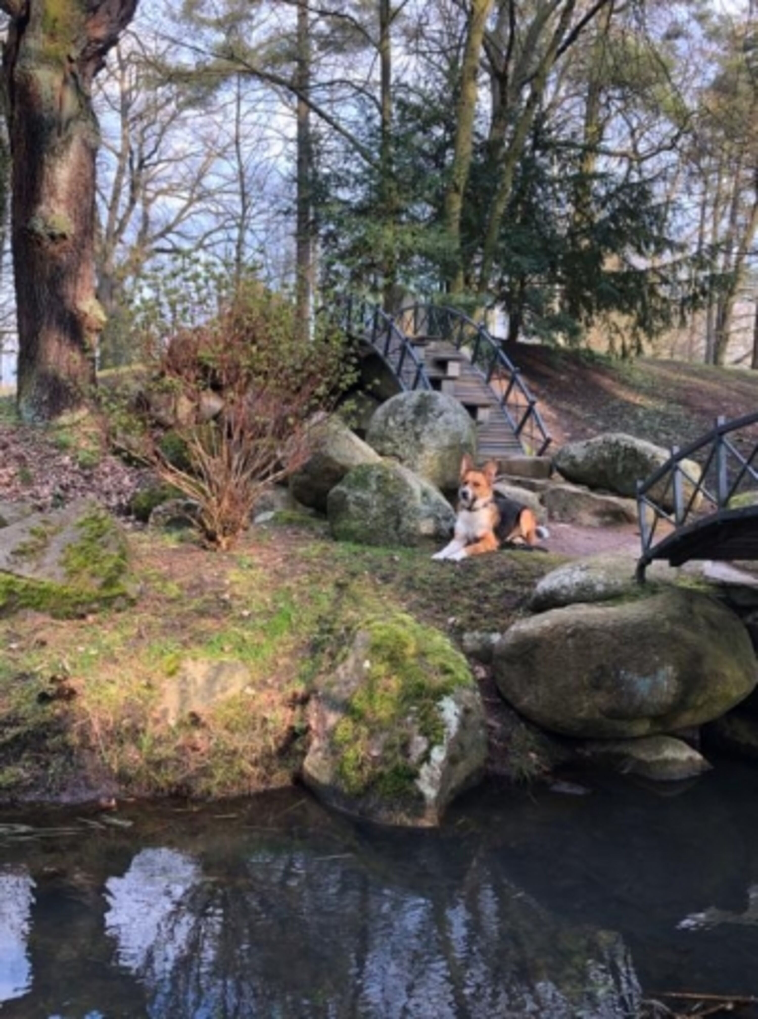 Schlosspark Oranienbaum