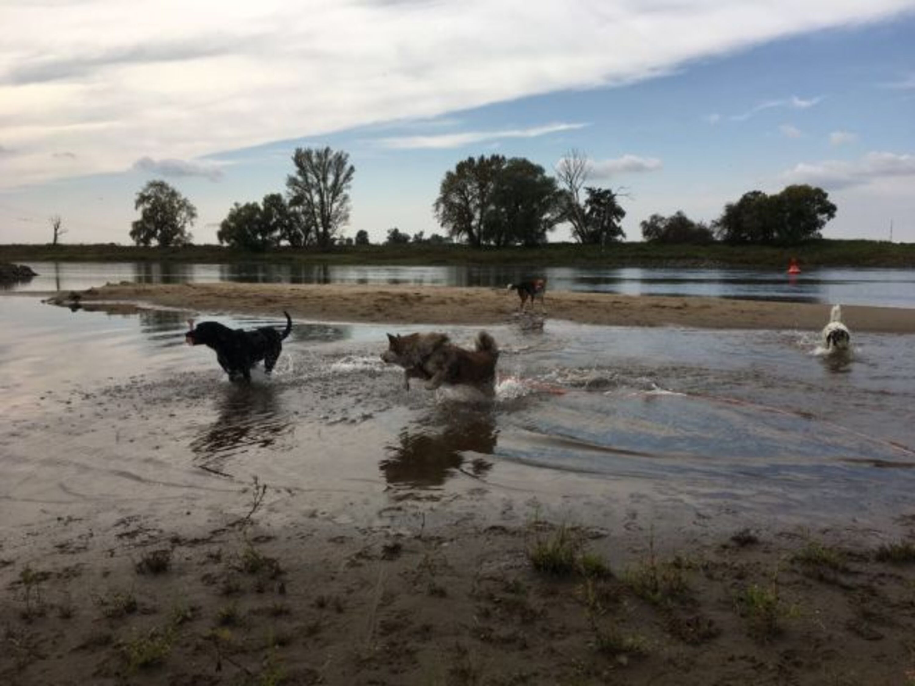 Seichtes Wasser und keine Menschenseele in Sicht.