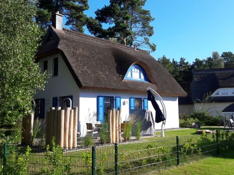 Außenbereich mit Zaun