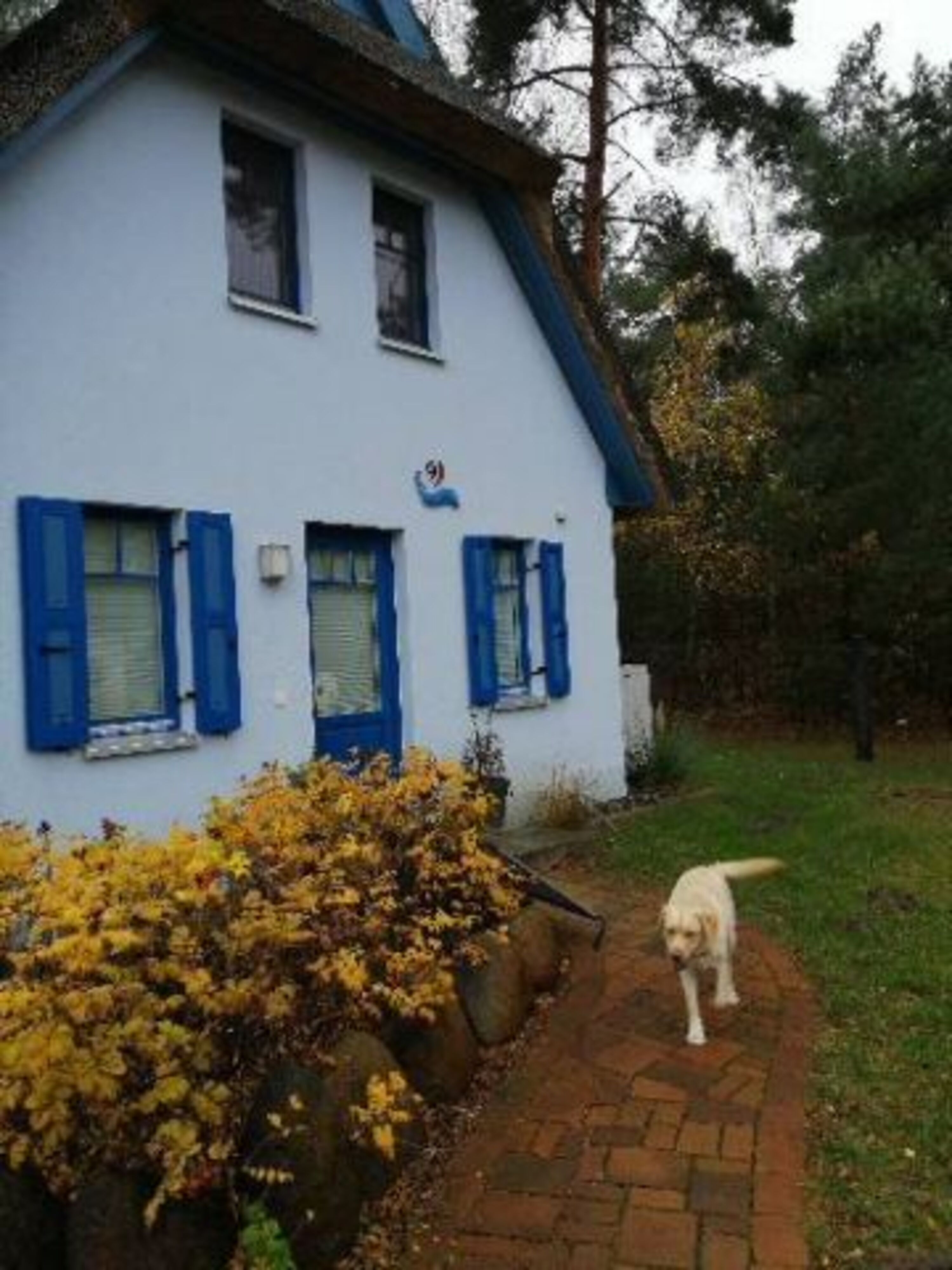 Bild 25