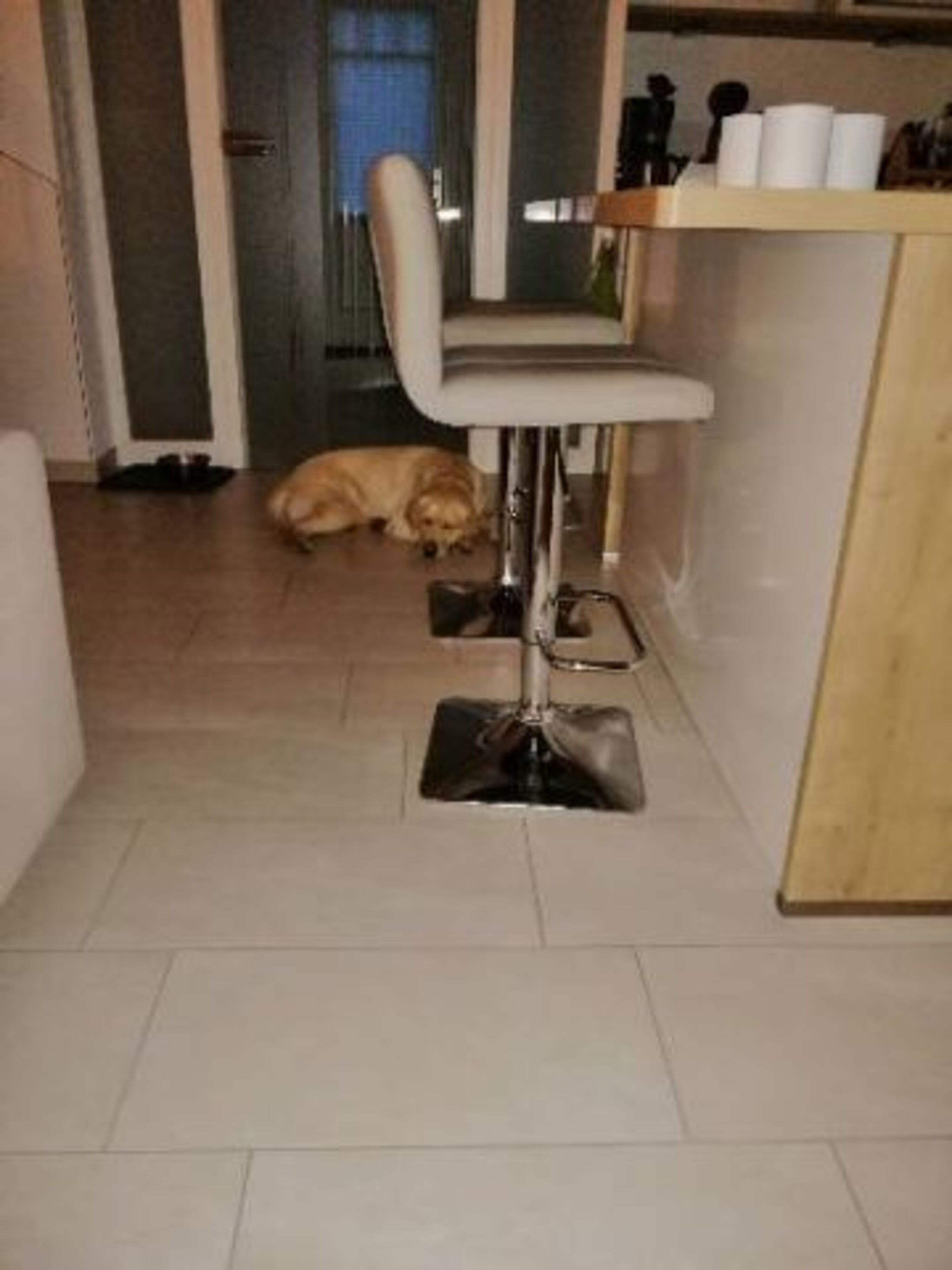 Küche mit Theke