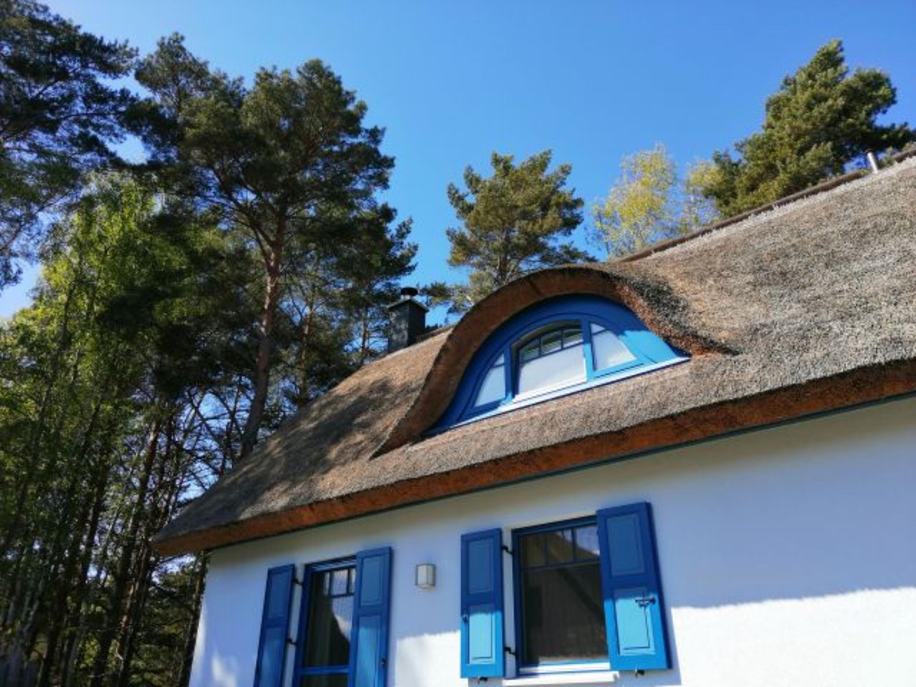 Bild 21