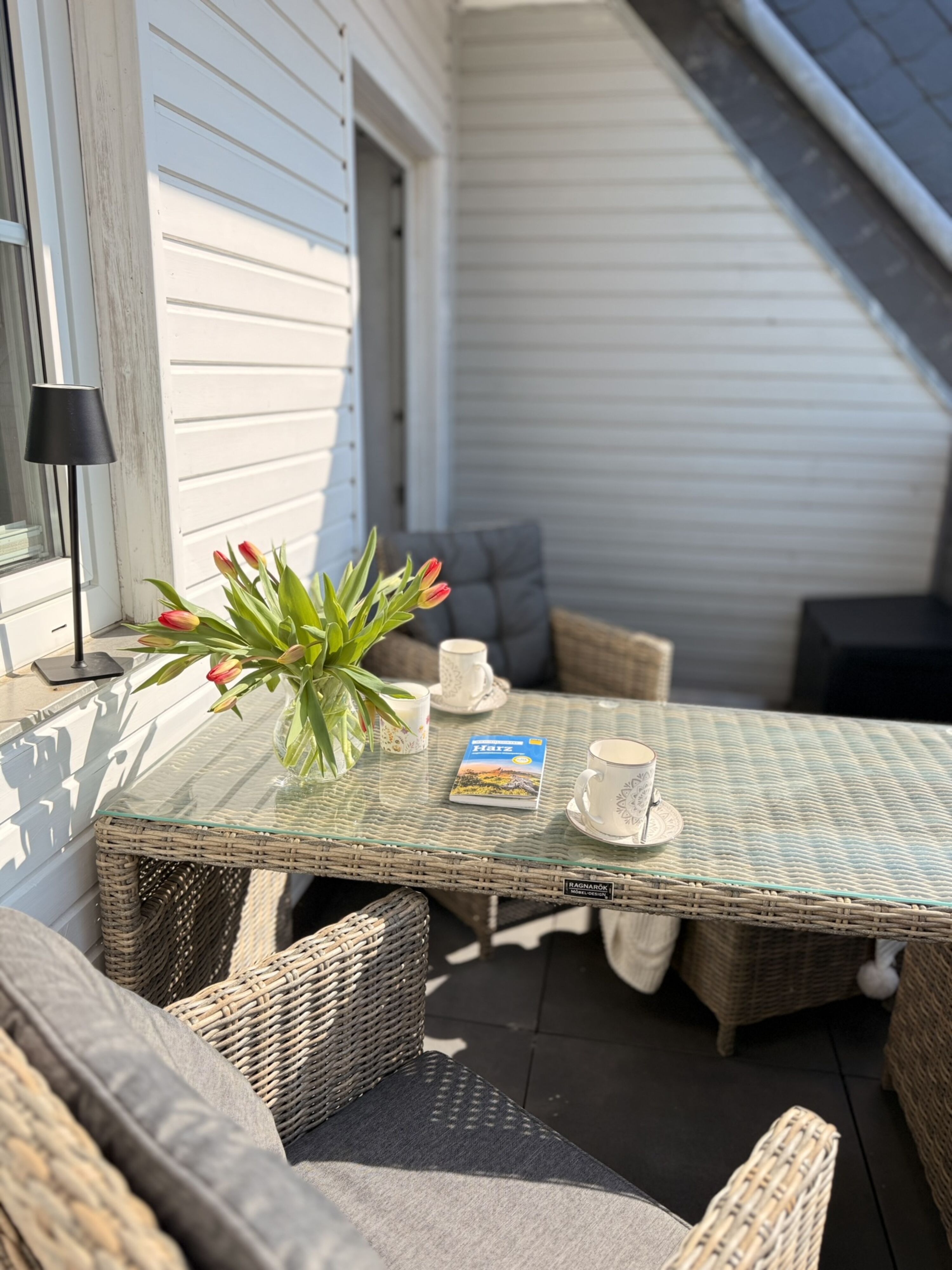 Süd Balkon