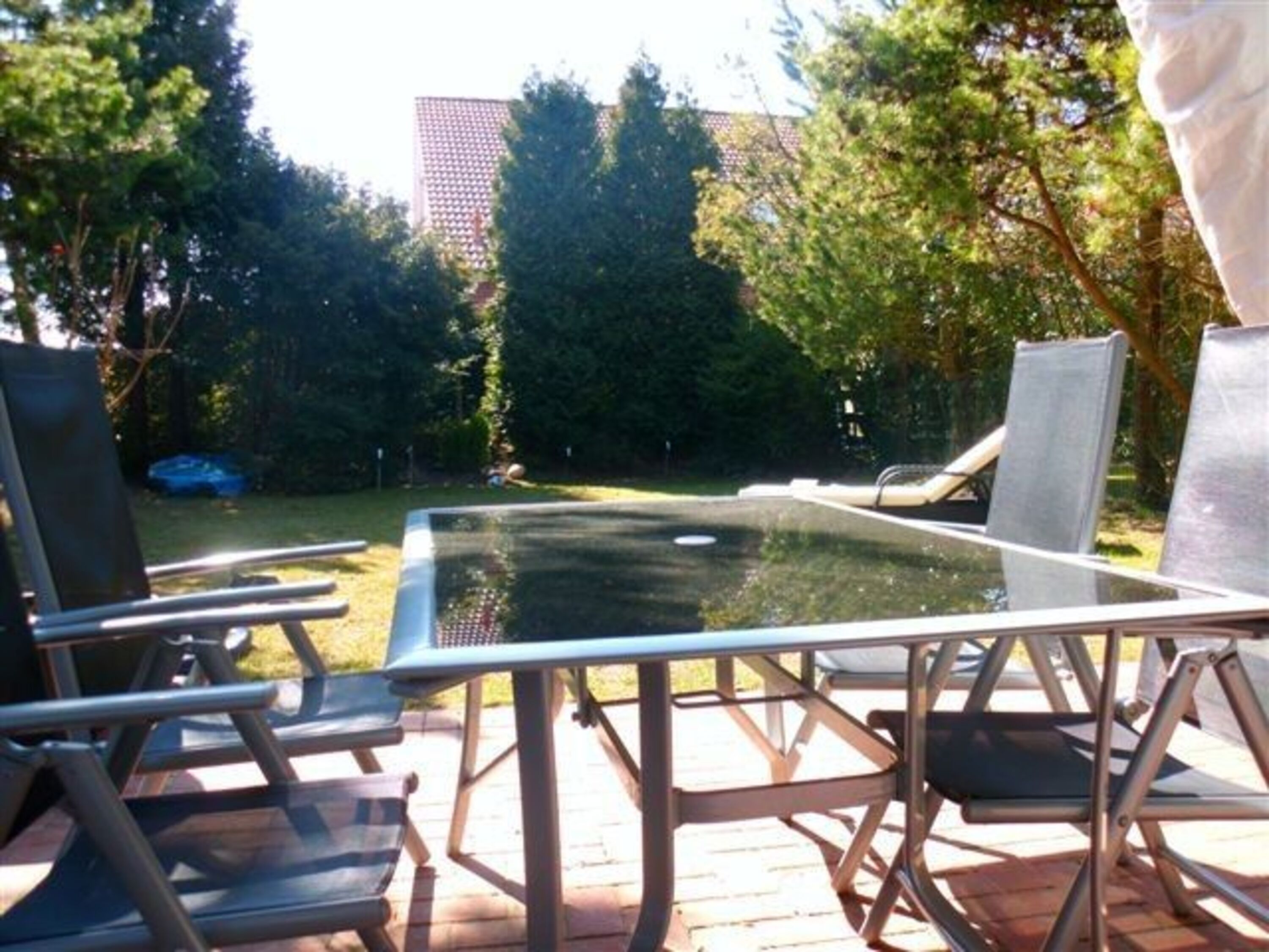 Blick in den Garten 