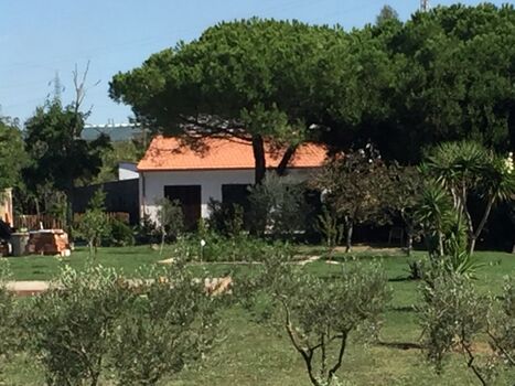 Garten mit Blick auf das Haus