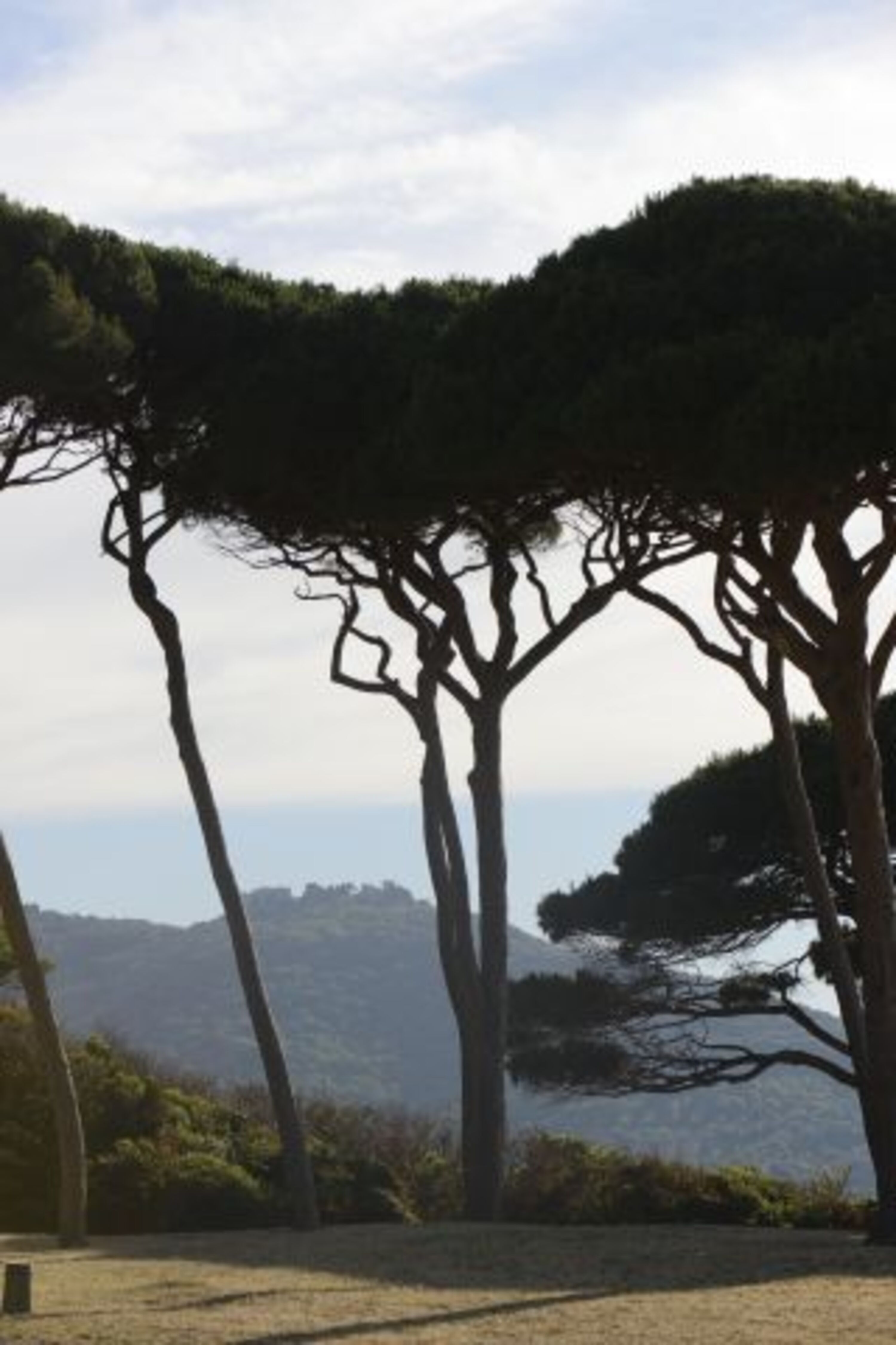 Baratti