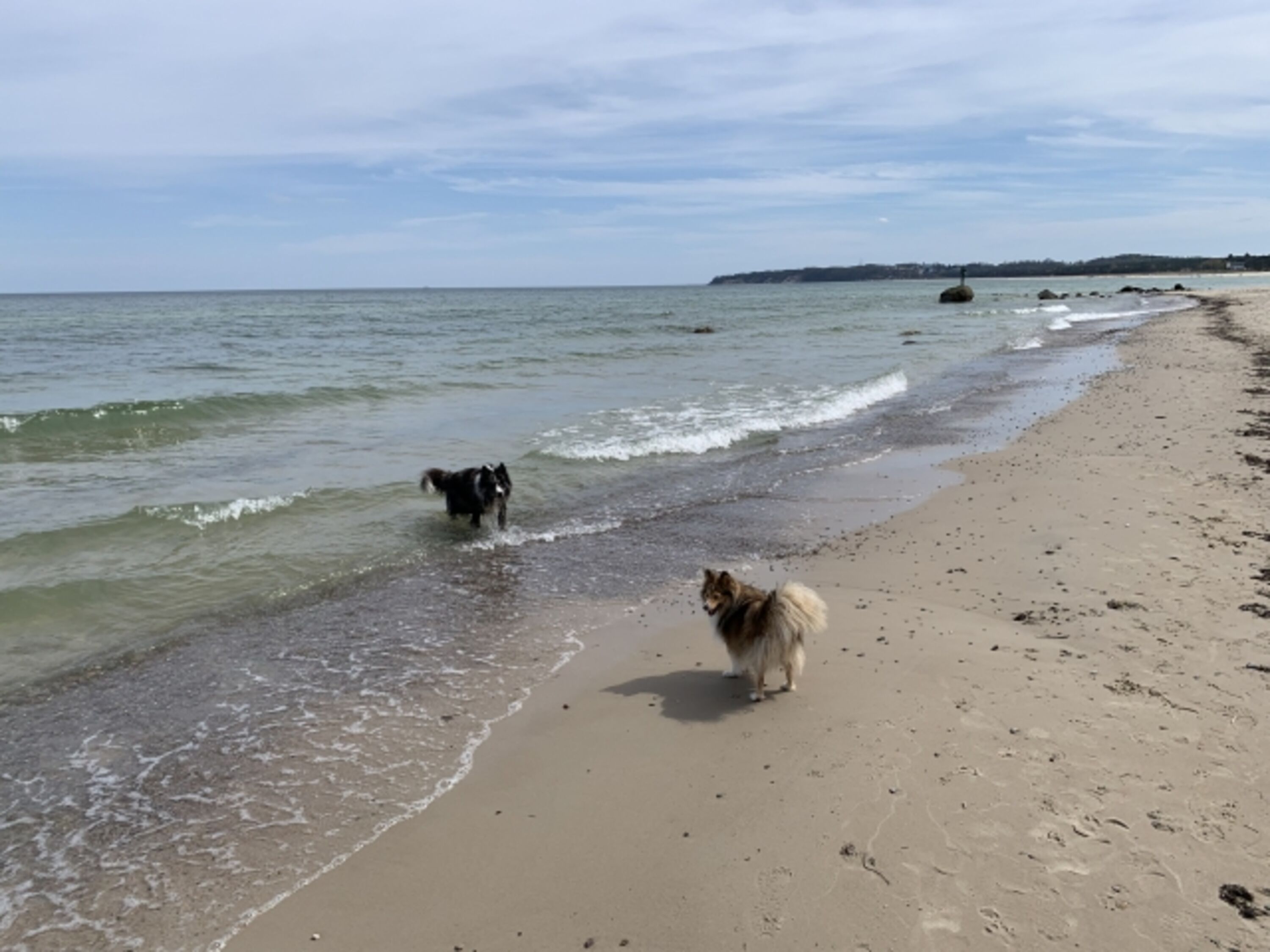 Wir fühlen uns hier hundewohl!
