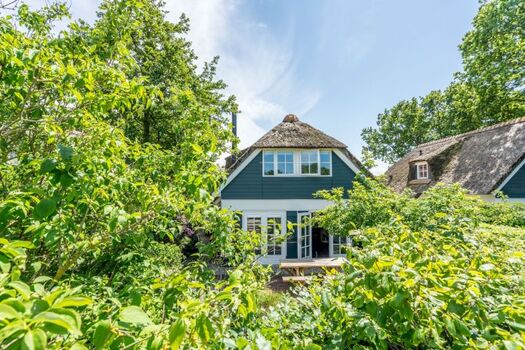 Die wunderschöne grüne Oase