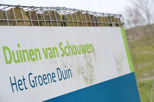 Das angrenzende Dünengebiet