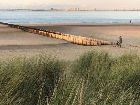 Strand mit typischen Paalen