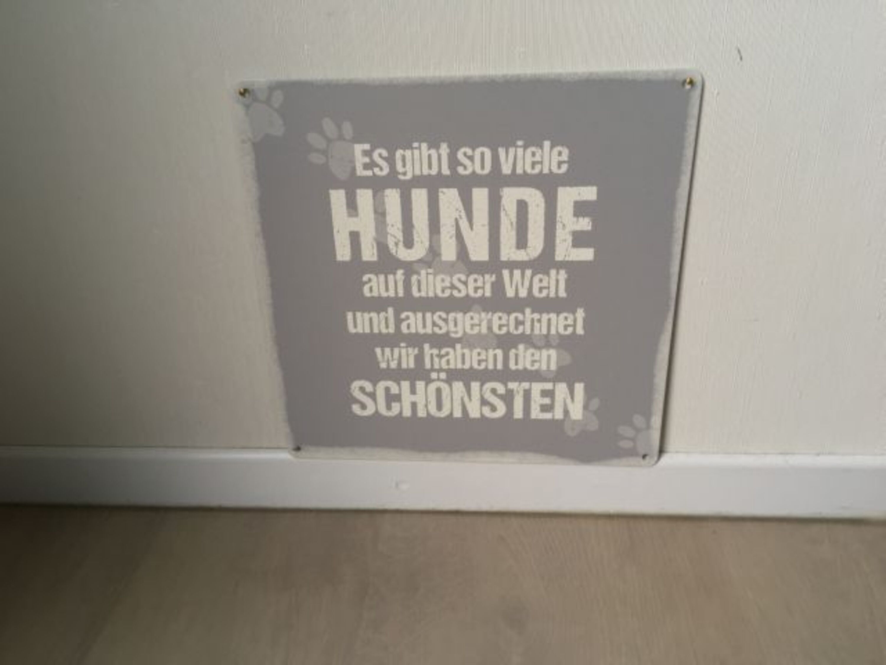 Bild 29