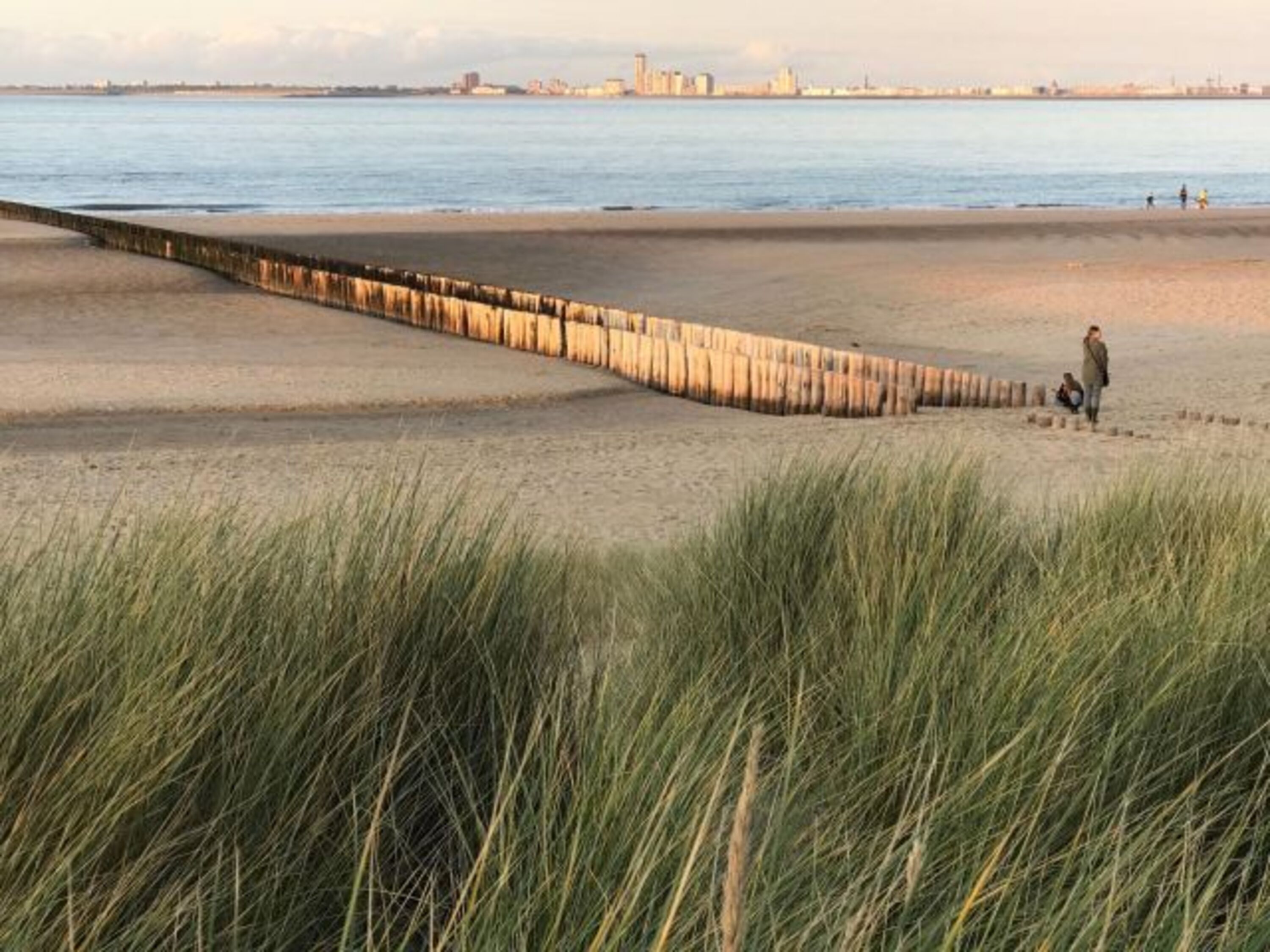 Strand mit typischen Paalen