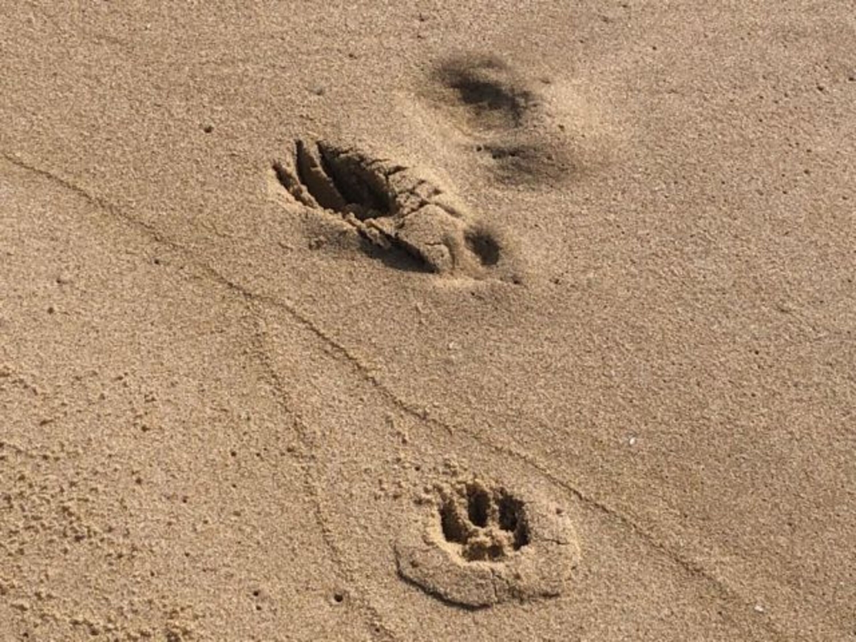 Spuren im Sand
