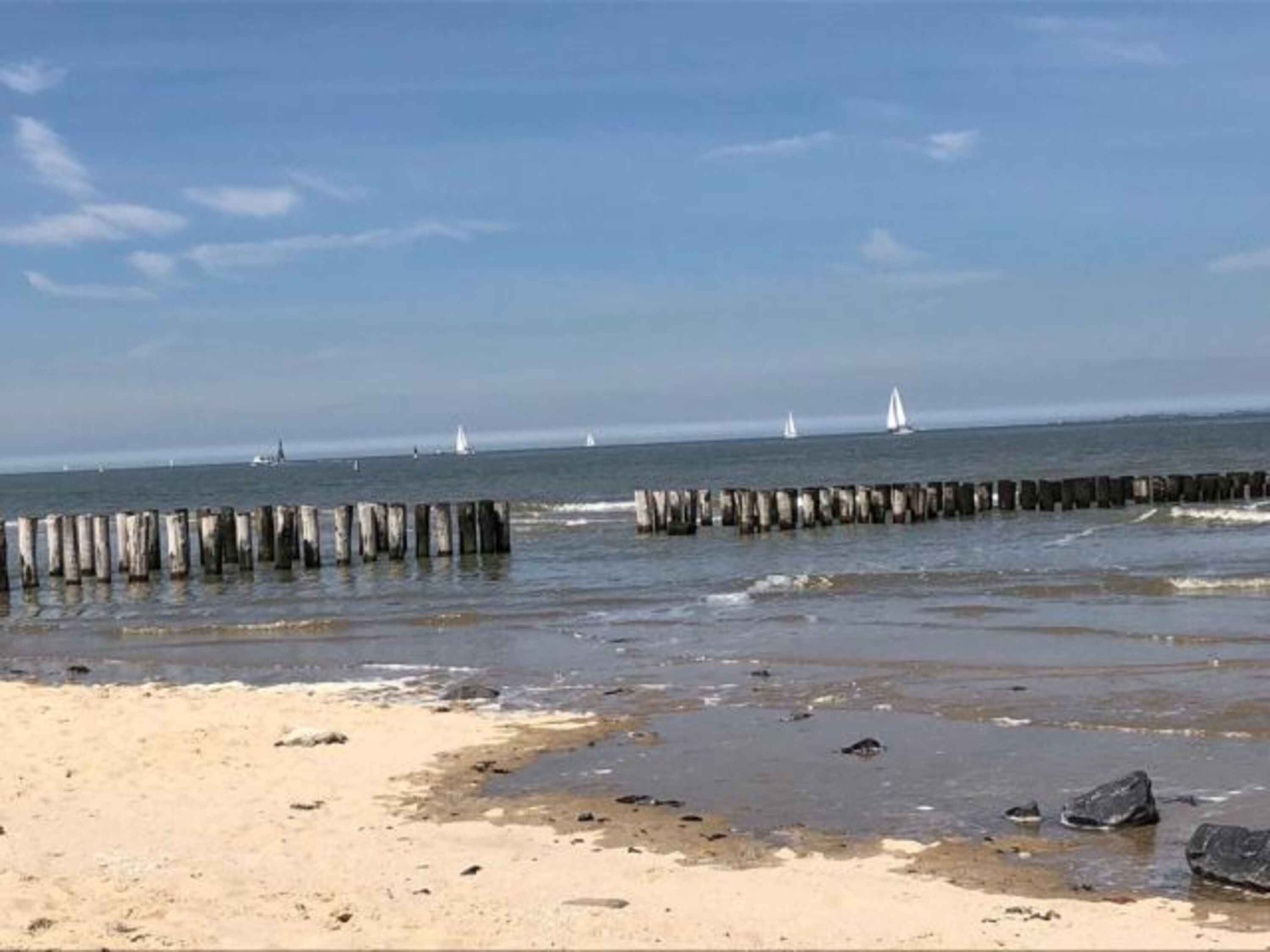 Die Seele baumelt