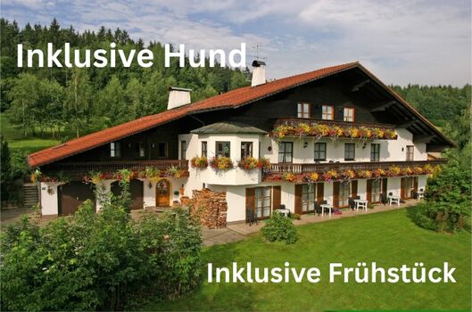 Ruhig gelegene Pension im Bayerischem Wald 