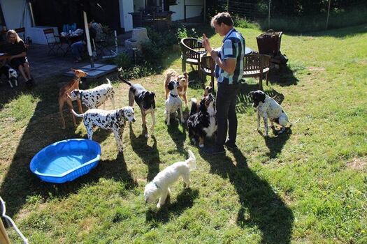 Gastgarten Hundepool
