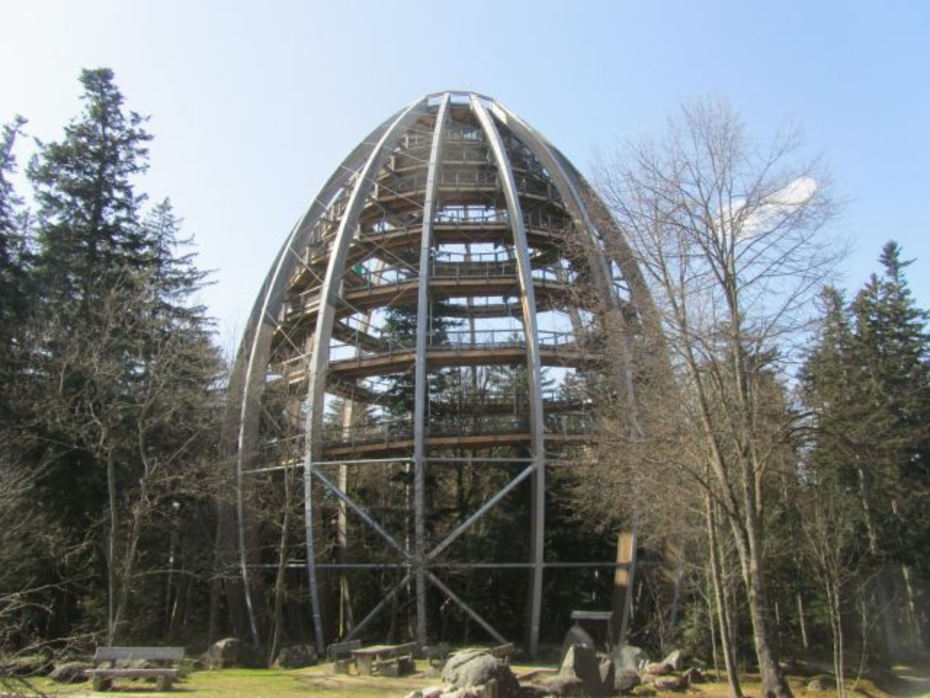 Baumwipfelpfad