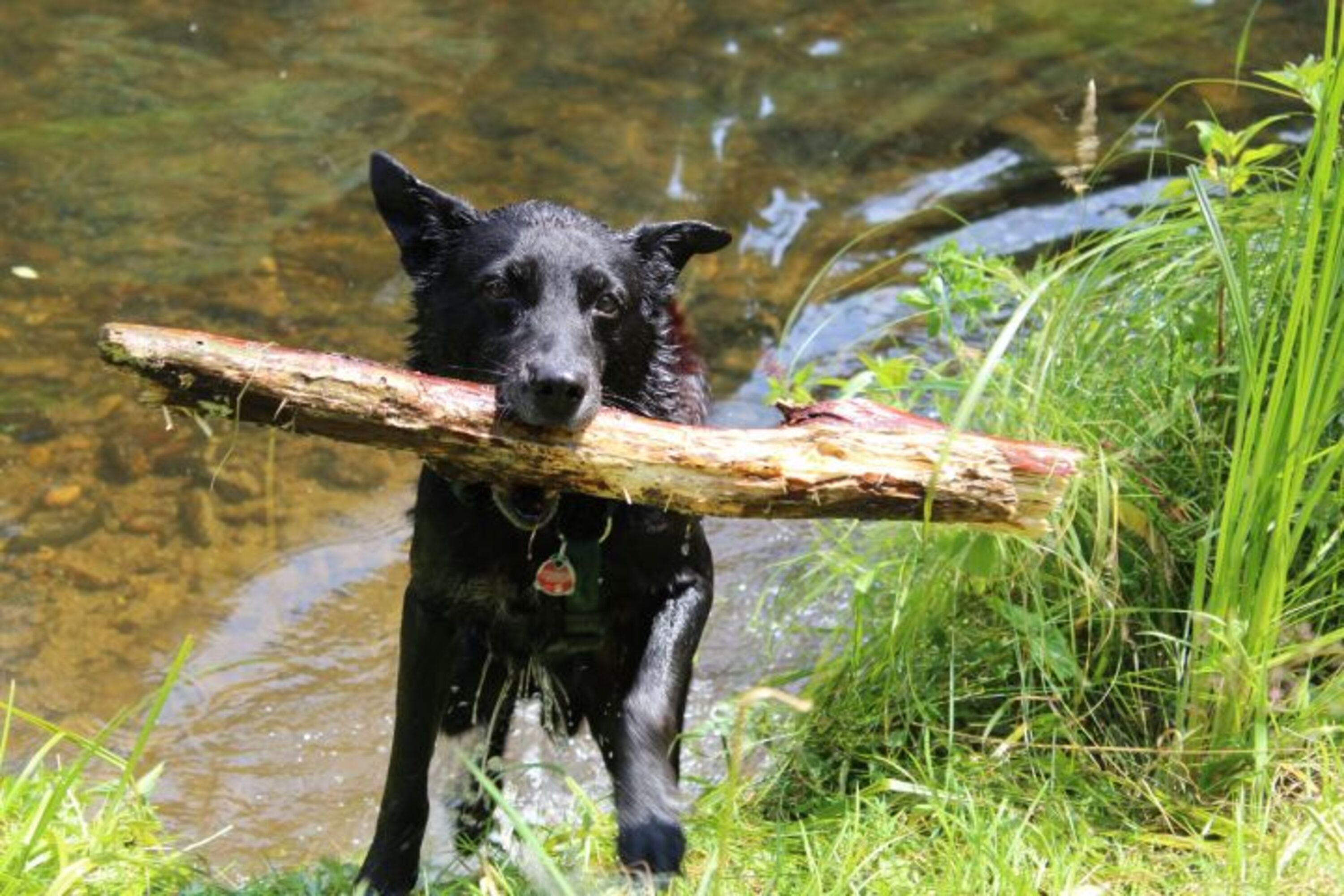 Baden im Regen