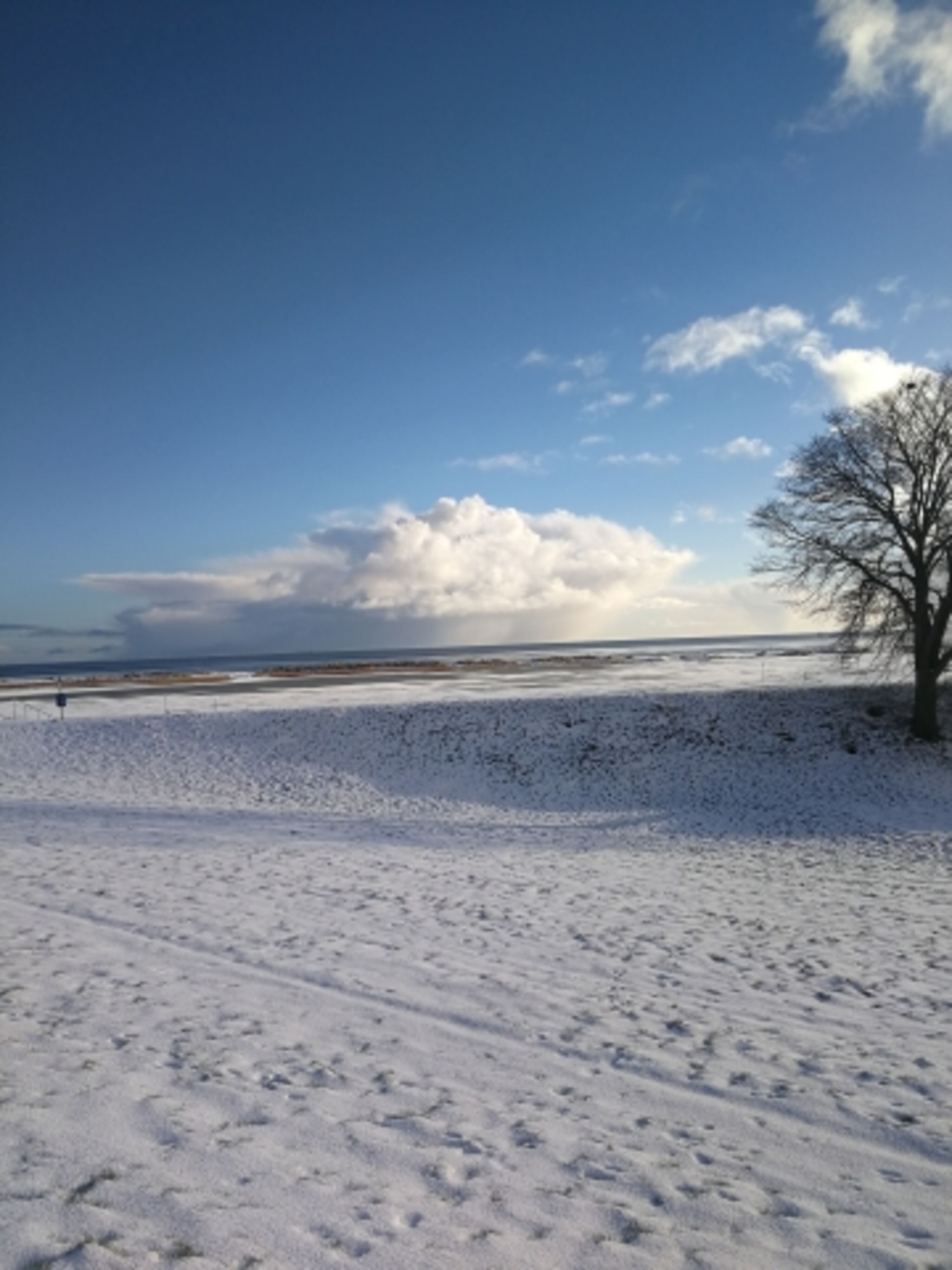 Winterstimmung