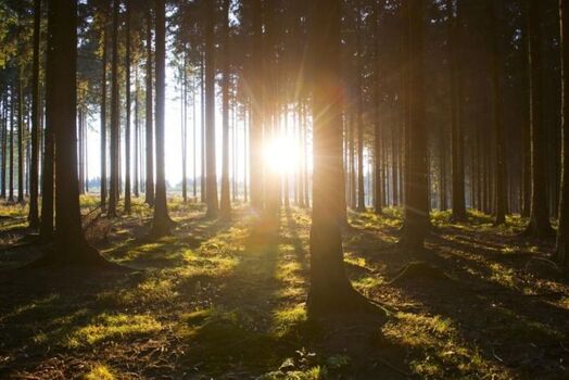 Zu jeder Jahreszeit ein schöner Urlaub