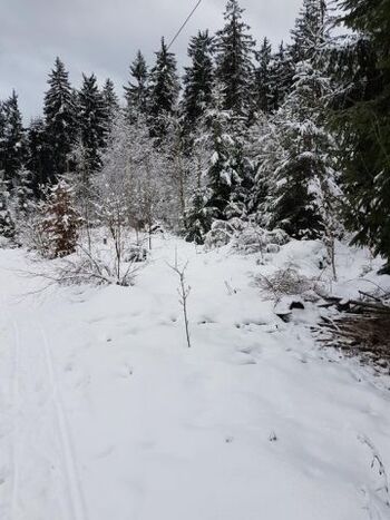 Verschneite Landschaft