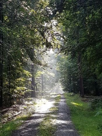 Ideal für schöne Spaziergänge