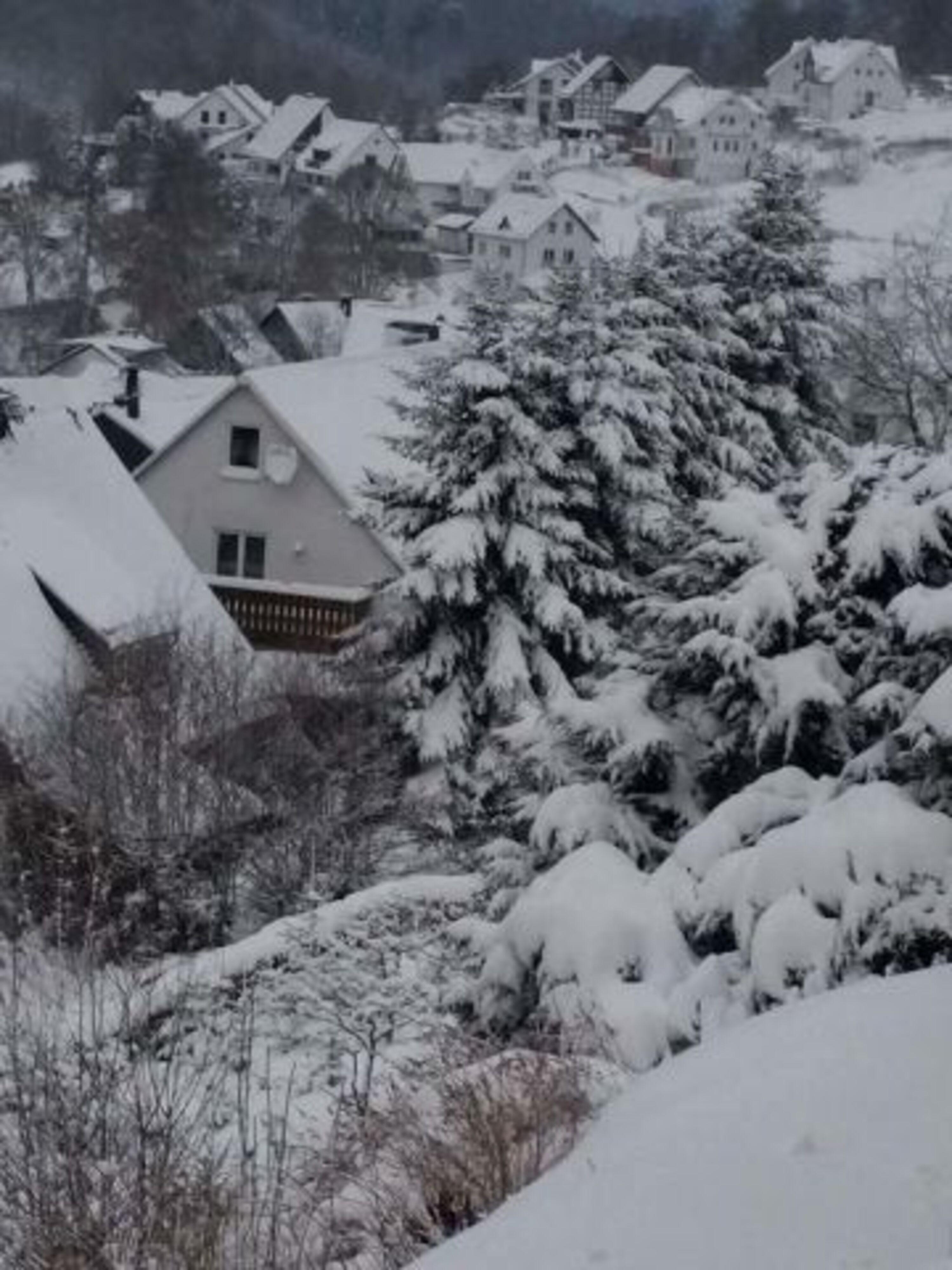 Im Winter....