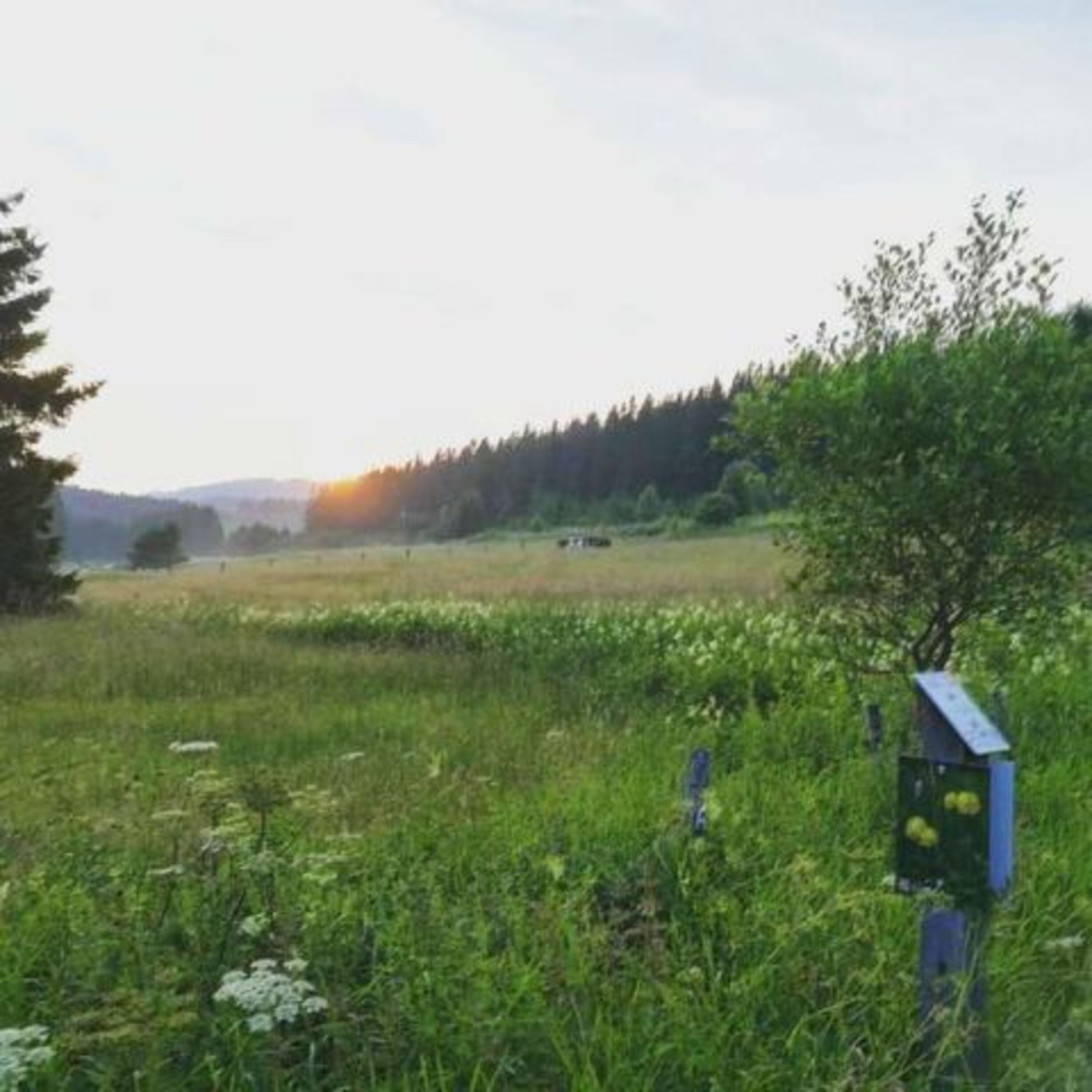 wunderschöne Natur
