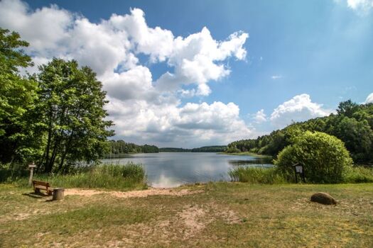 der Große Kronsee - ist in etwa 100 Meter erreichbar