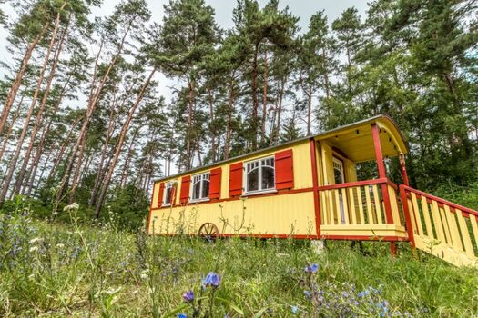 Zirkuswagen inmitten von Wald und Wiesen