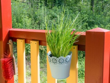 Mit viel Liebe zum Detail 