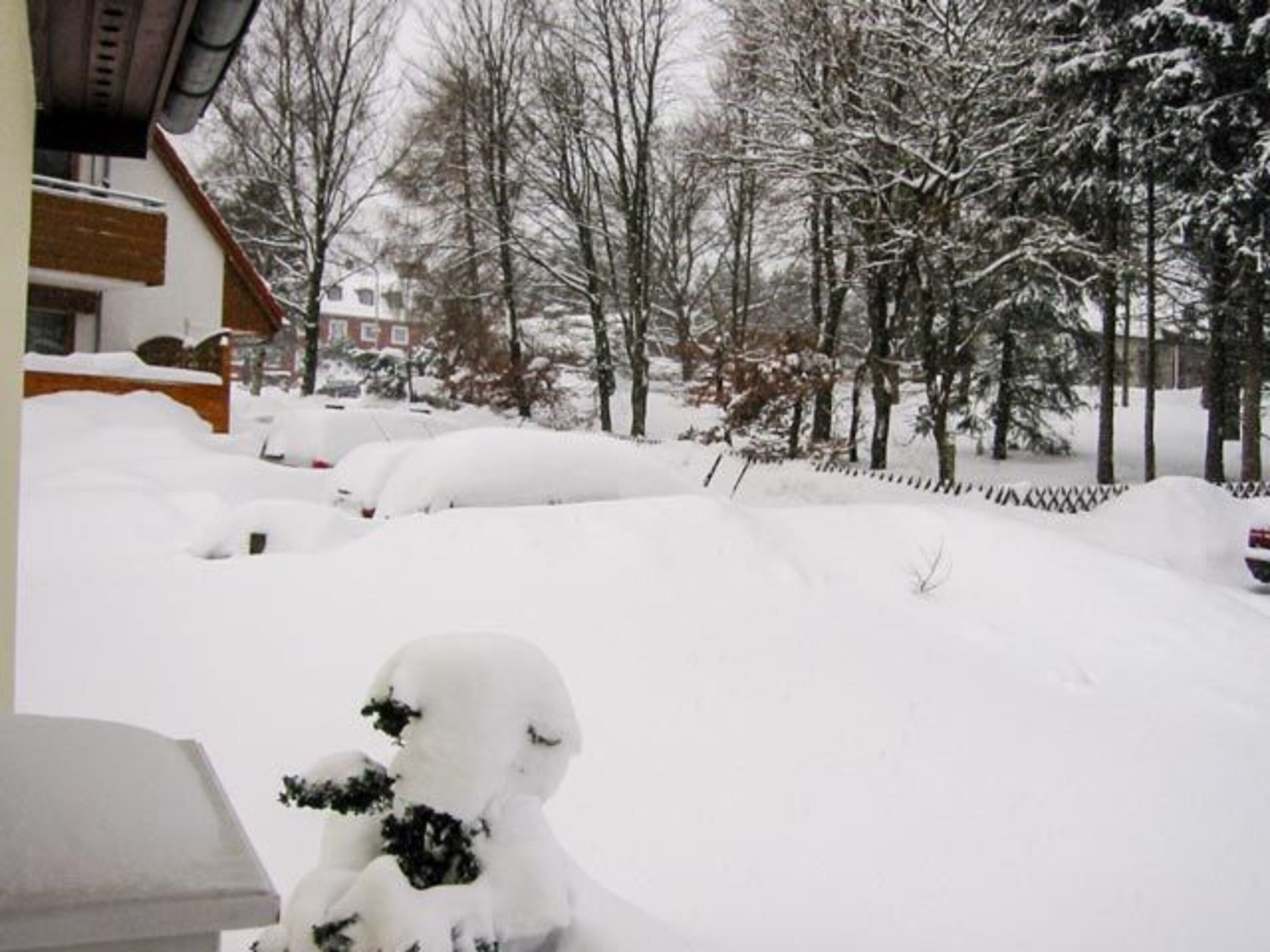 Blick auf die Straße (Sackgasse) im Winter