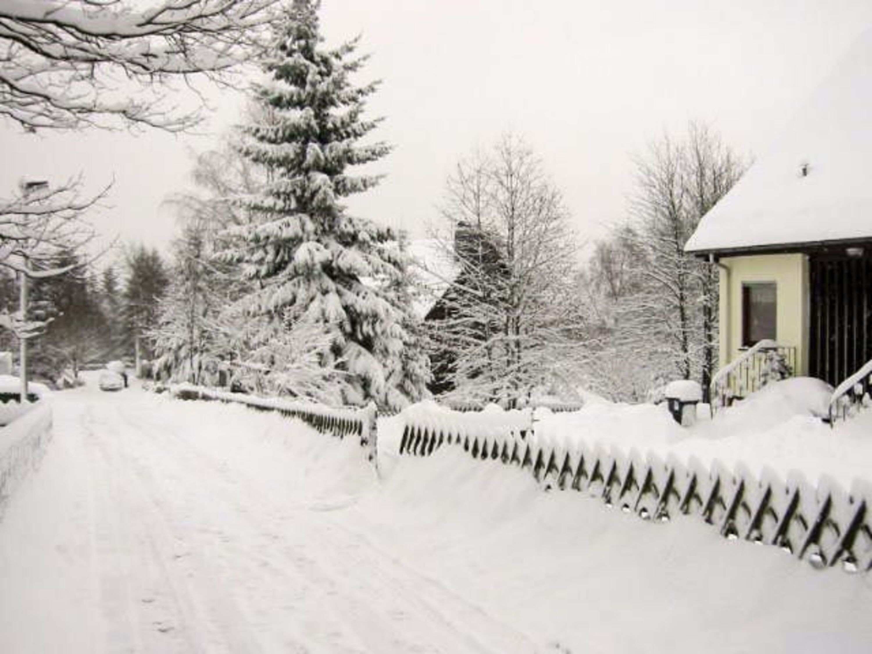 Genug Schnee