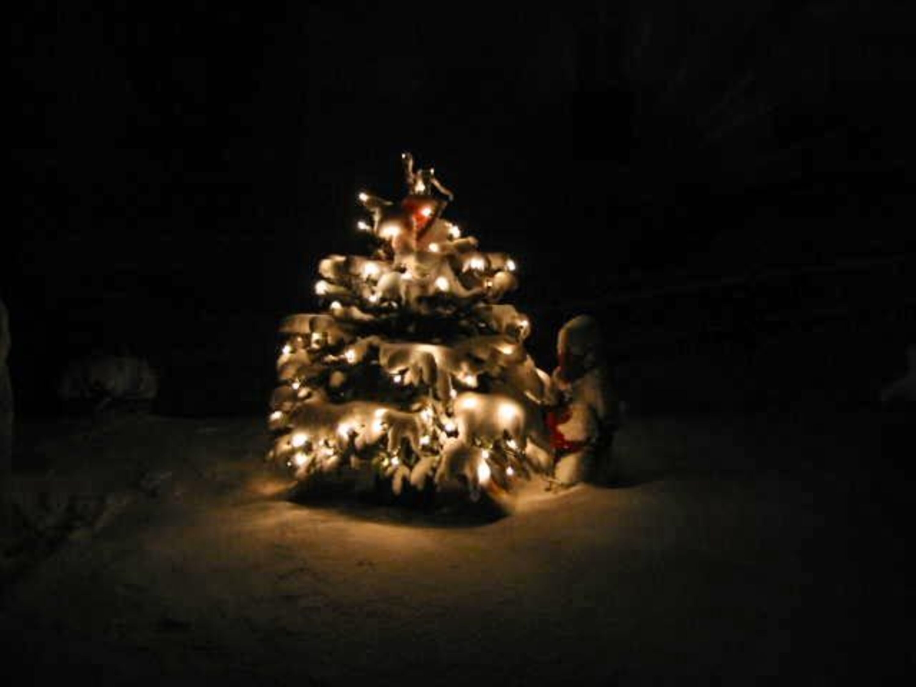 Im Winter ein Traum