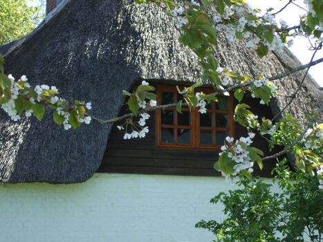 Romantisches Reetdachhaus
