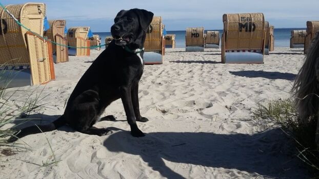 An der Strandpromenade