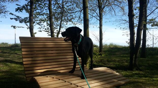 An der Strandpromenade