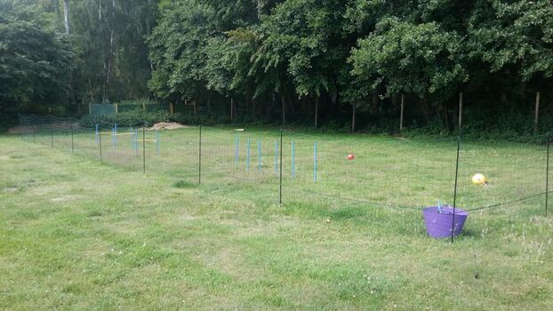 Unser Hundespielplatz auf der Anlage